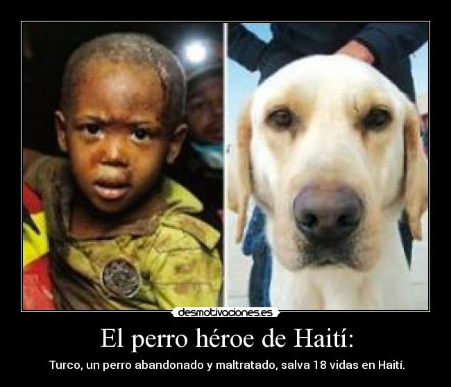 El Perro que Salvó 18 Vidas