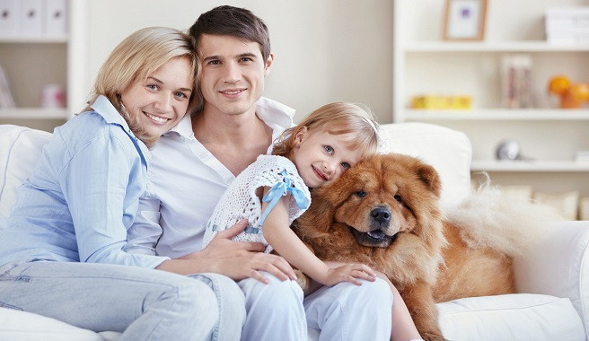 Haz que tu perro se adapte al nuevo hogar