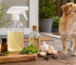 repelente para perros casero
