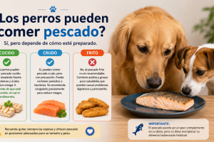 perros pueden comer pescado