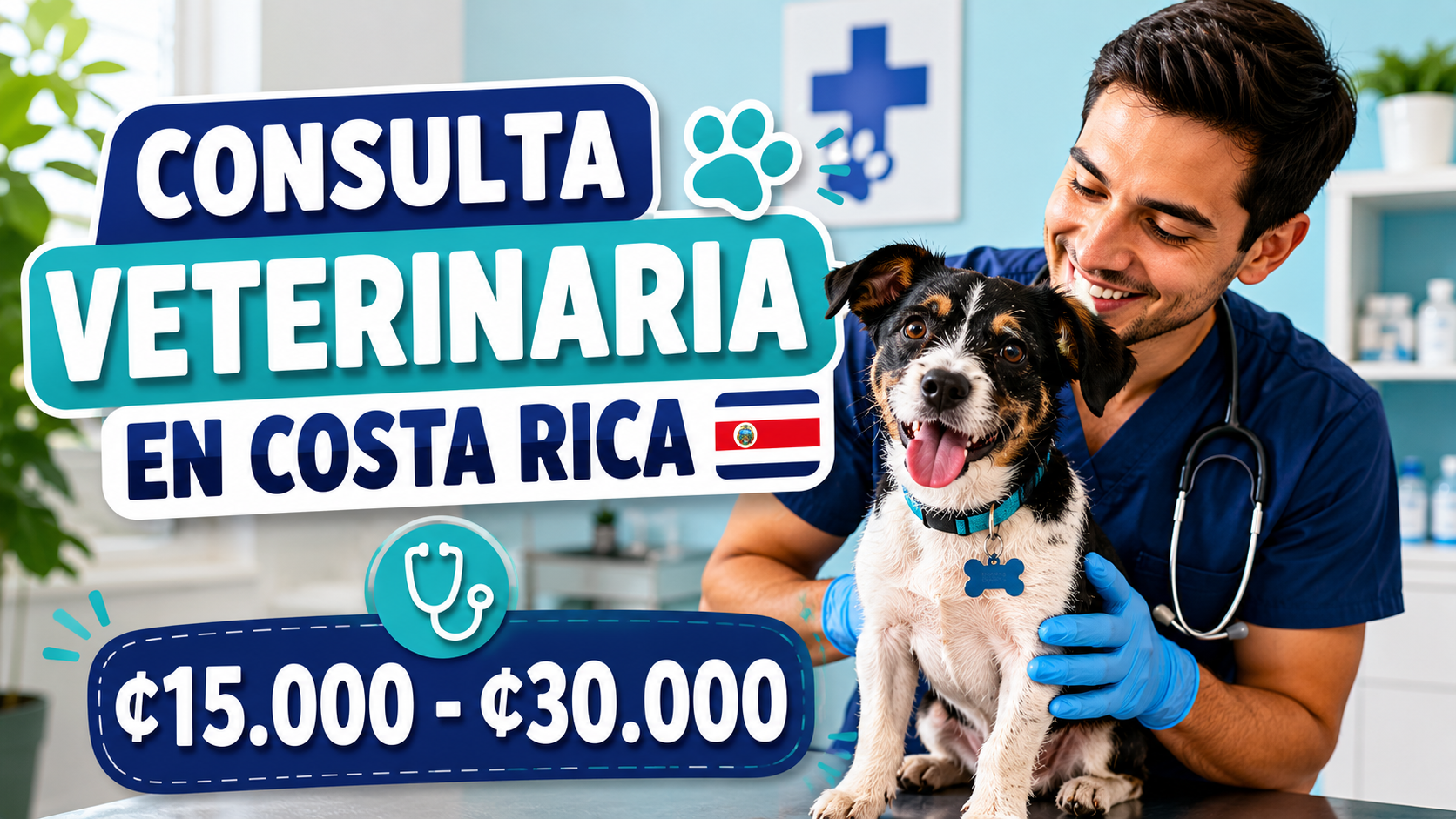¿Cuánto cuesta una consulta veterinaria en Costa Rica